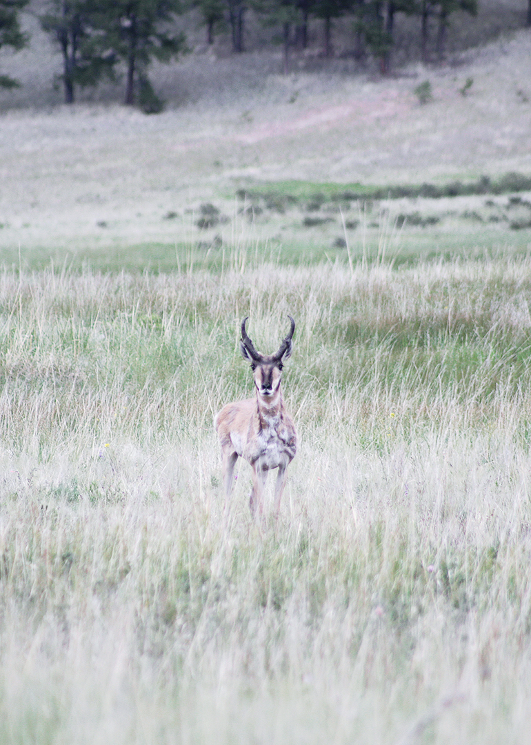 Colorado