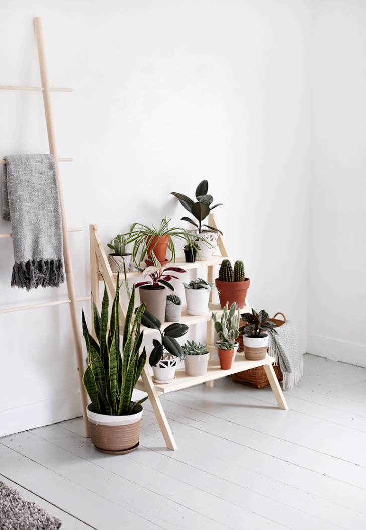 DIY Ladder Plant Stand @themerrythought