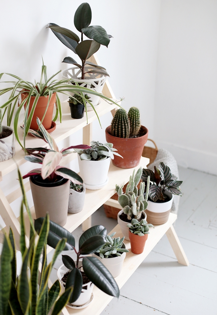 DIY Ladder Plant Stand @themerrythought