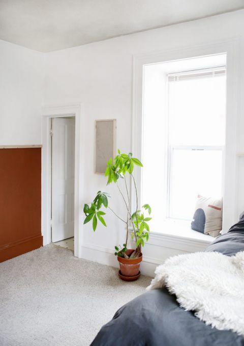 white room scene with window seat and plants