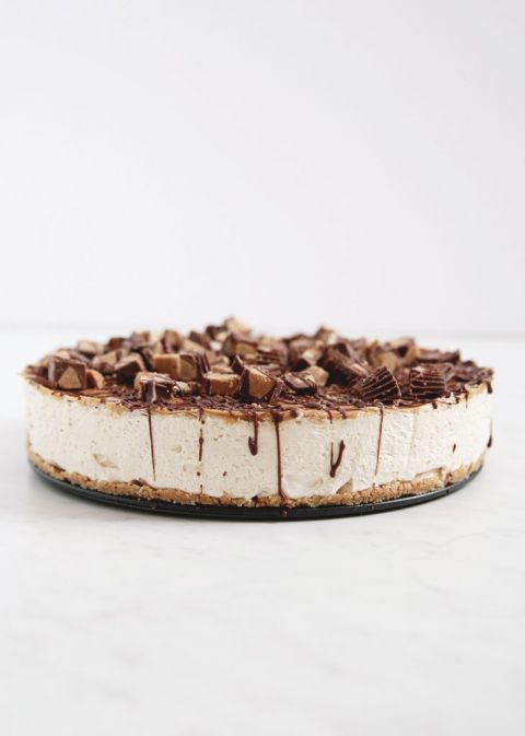 side view of peanut butter cheesecake with drizzled chocolate and peanut butter cups