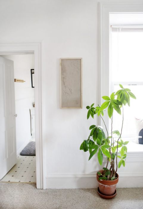 plaster wall art on white wall next to plant