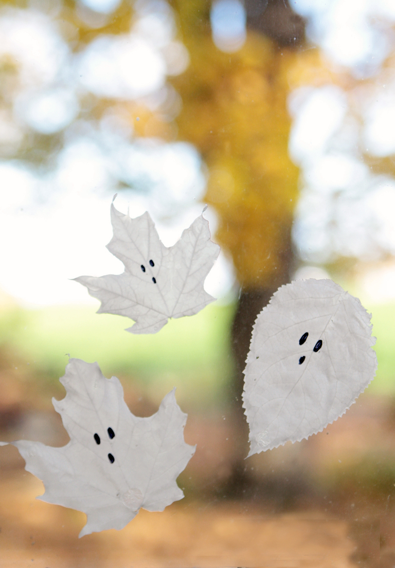 window with transparent leaf ghosts made from glue on it