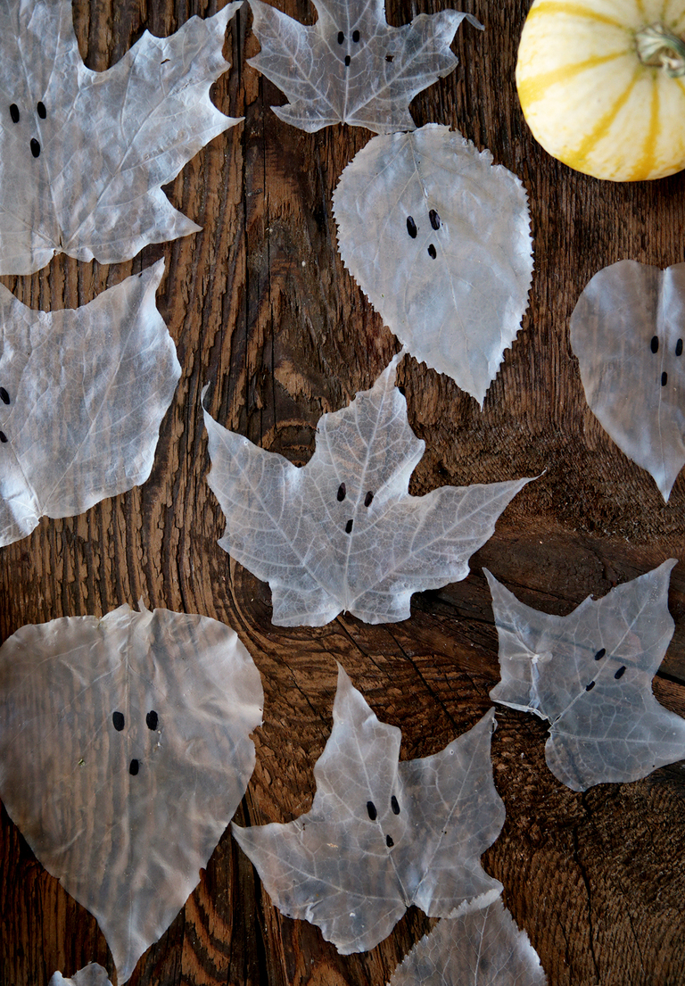 transparent glue ghost leaves on wood board with mini pumpkin in the corner