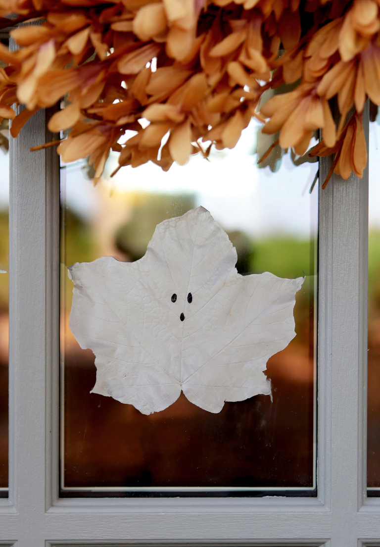 large glue leaf ghost on window