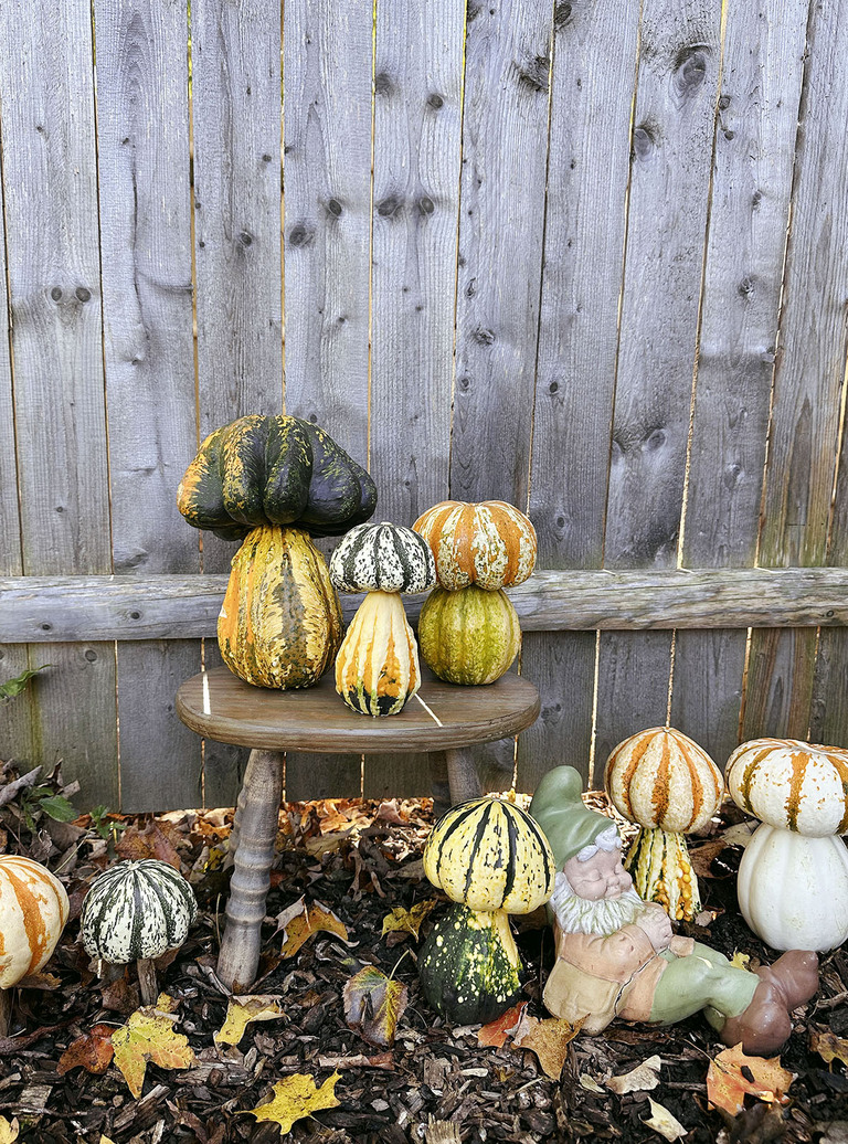a bunch of stacked mushroom pumpkins scattered in front of wooden fence with autumn leaves around them