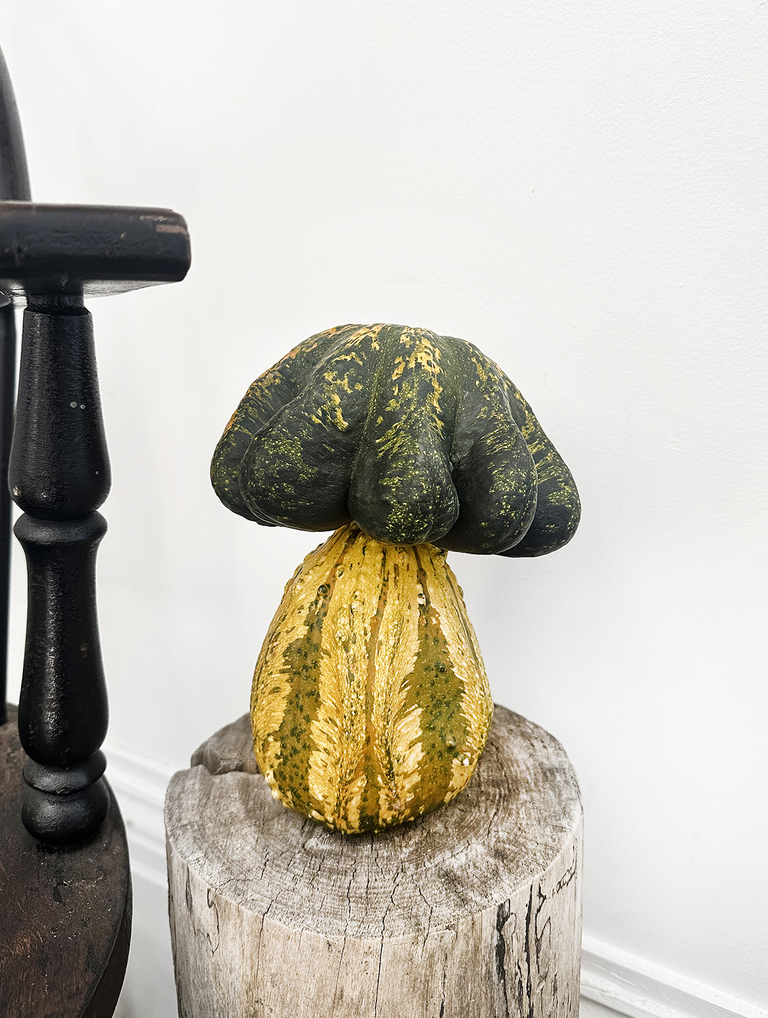 green and yellow stacked pumpkins to look like mushroom on wooden side table next to black chair