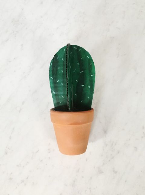 cardboard cactus in terracotta pot