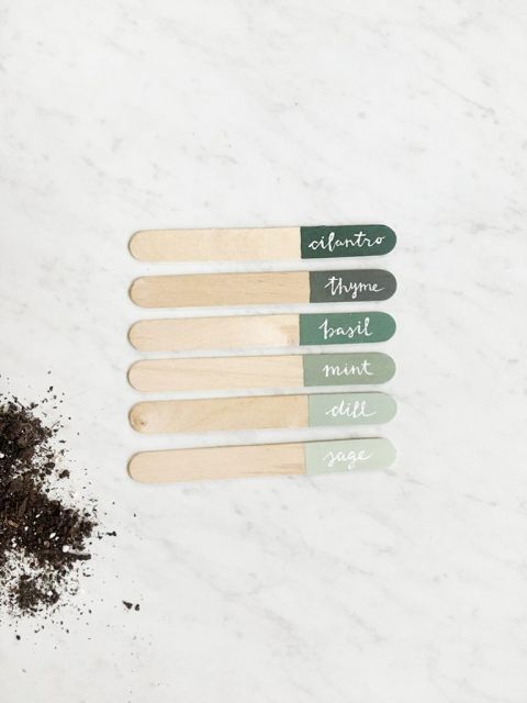 popsicle stick plant markers