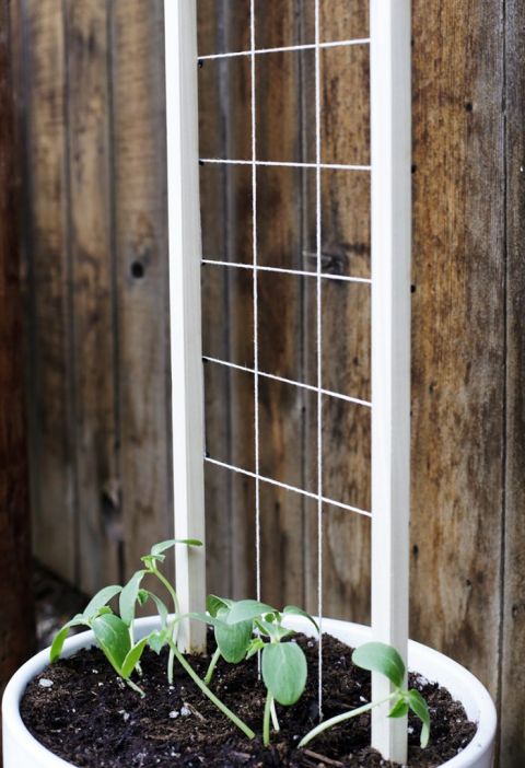 DIY Mini Trellis