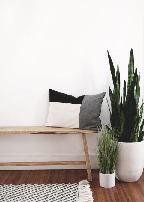 simple wood bench with pillow on it next to plants
