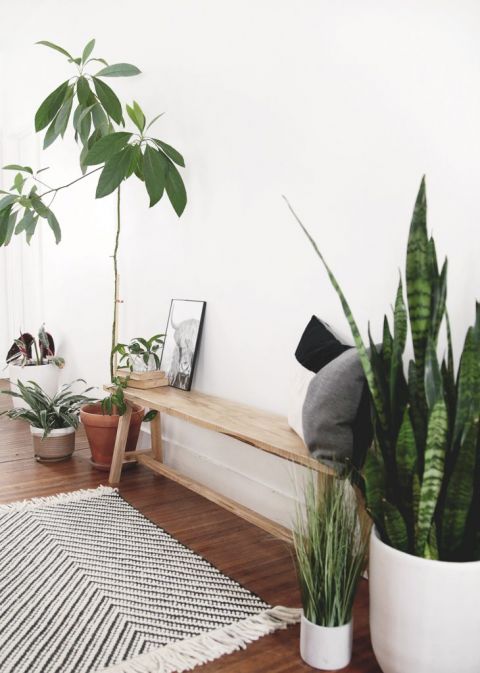 simple wood bench with plants next to it