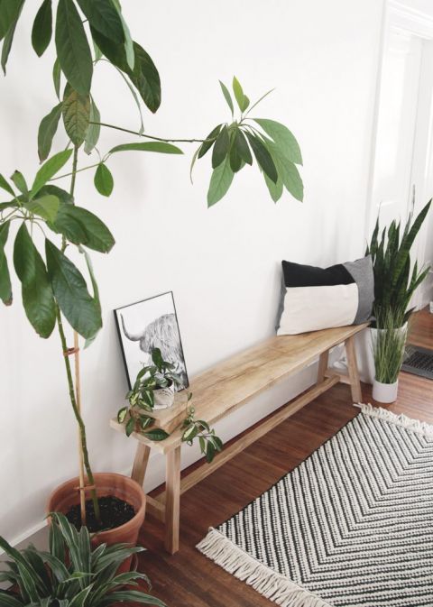 modern rustic bench with pillow on it next to plants and rug