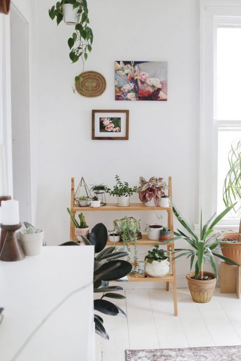 plant shelf under floral art wall