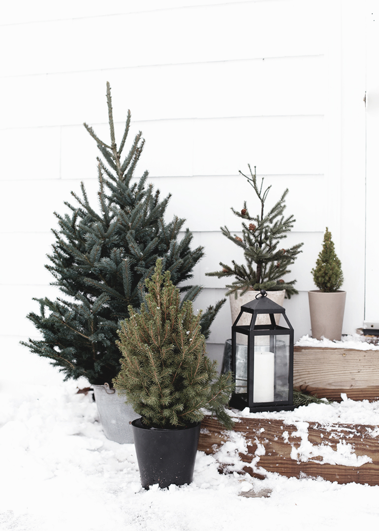 Minimal Outdoor Christmas Decor @themerrythought