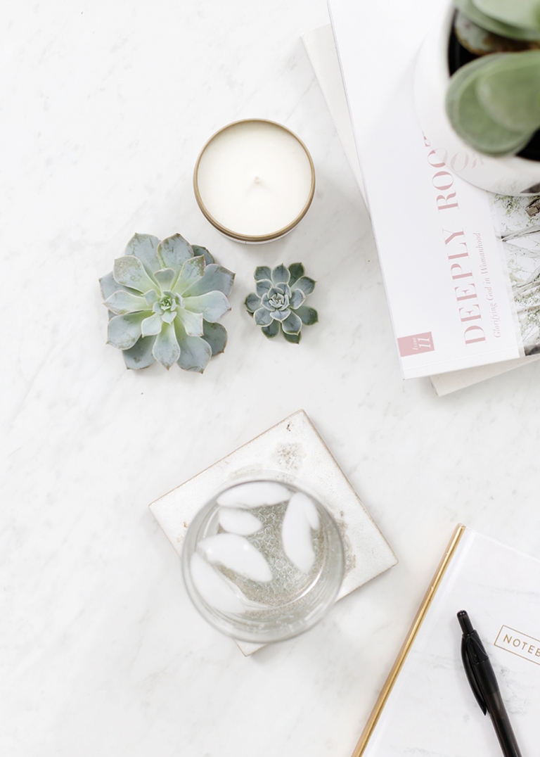 DIY Rootless Succulents @themerrythought