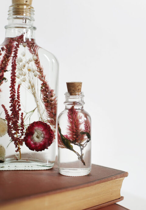 close up of flowers suspended in oil in well-spoken glass jars