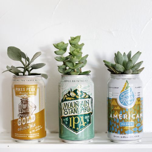 DIY Beer Can Planter @themerrythought