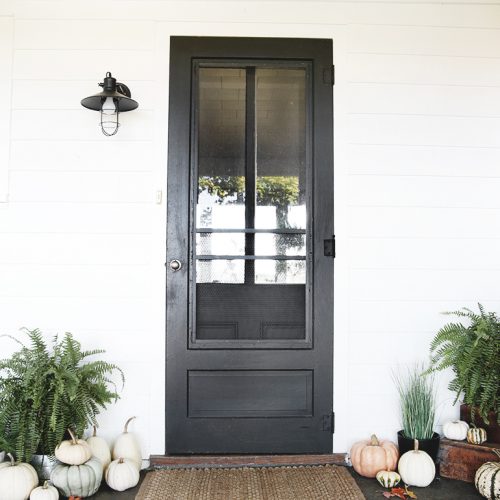 black front door with pumpkins and ferns around it