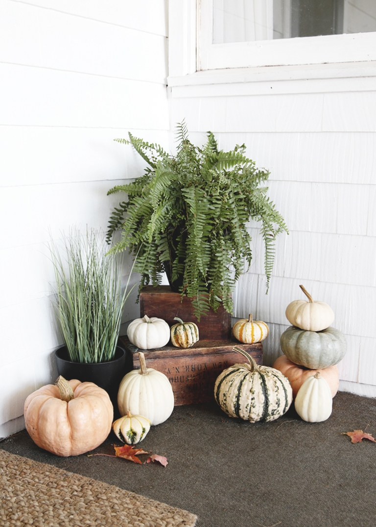 white blue and orange pumpkins with fern