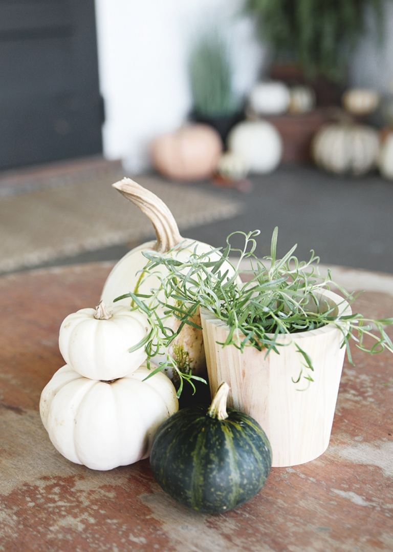 pumpkins and rosemary on table