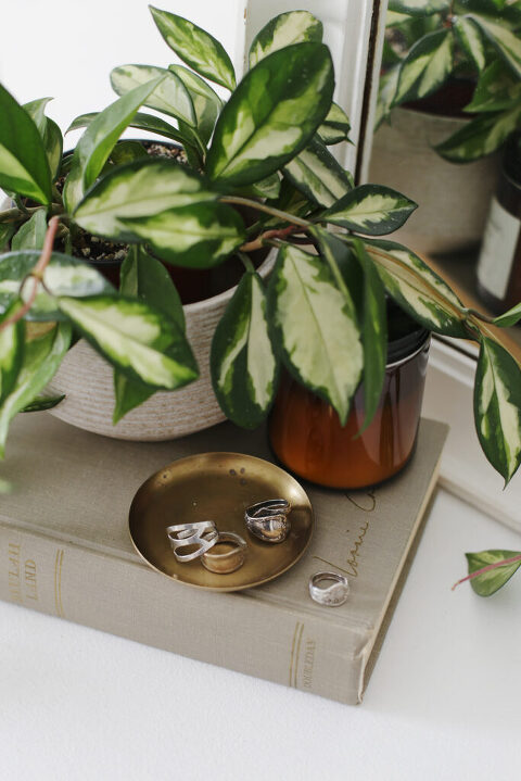 rings on contumely tray on top of typesetting next to plant and candle