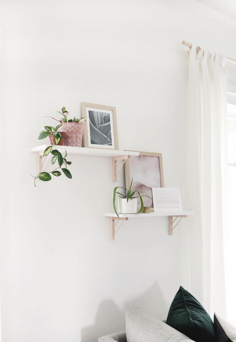 white shelves with plants and picture frames