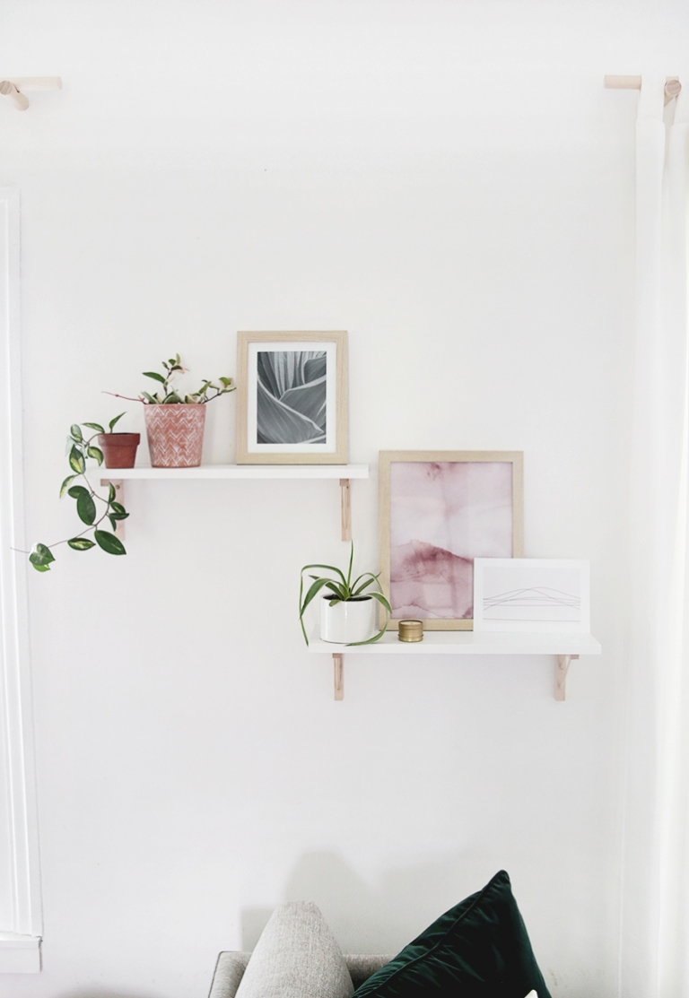 white shelves with plants and picture frames