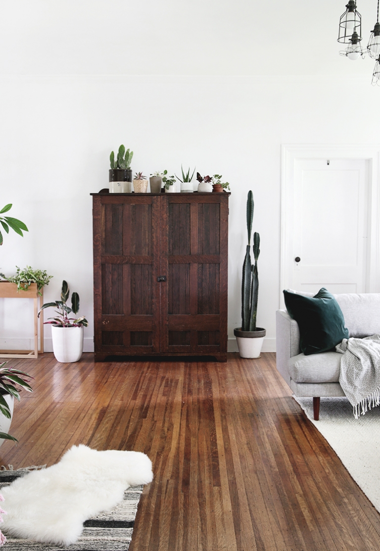 wood cabinet with plants