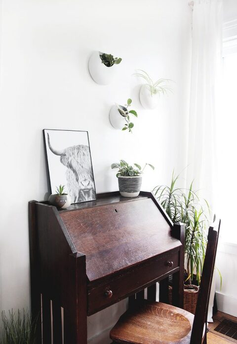 wood desk with plants