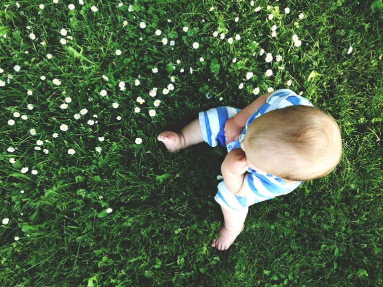 Merry Moments | The Merrythought