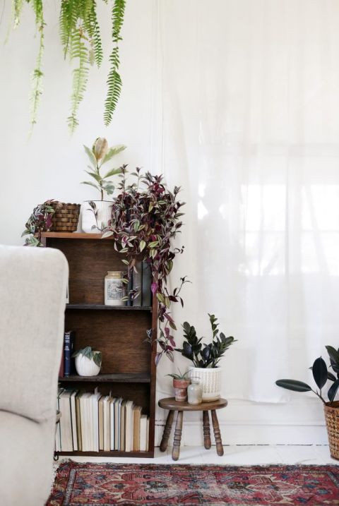 vintage rug in front of wooden book shelf and stool filled with plants and books