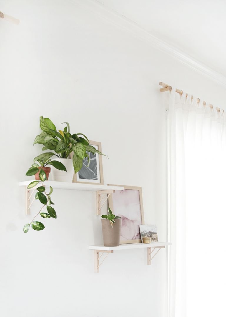 white wall shelves on wood brackets with plants 