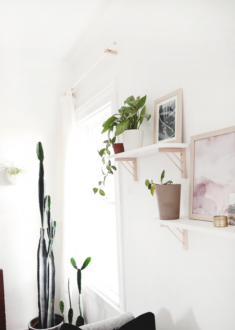 white wall shelves on wood brackets with plants 