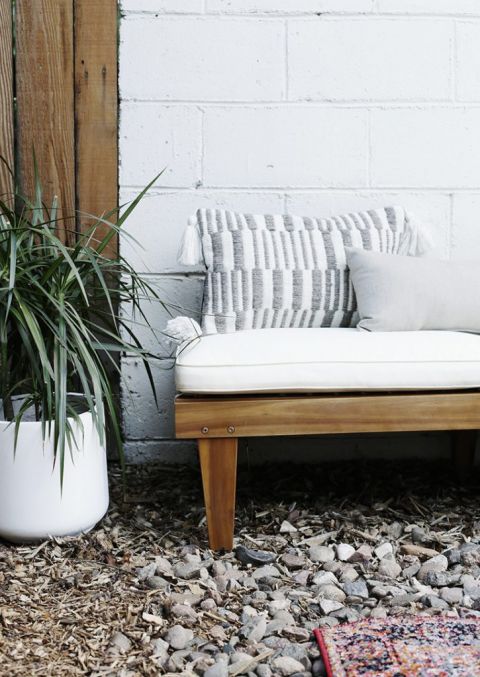 close up of lounge chair and plant