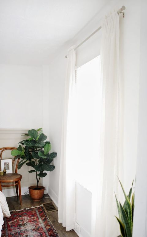 sheer curtains over window in bedroom with faux plant in corner