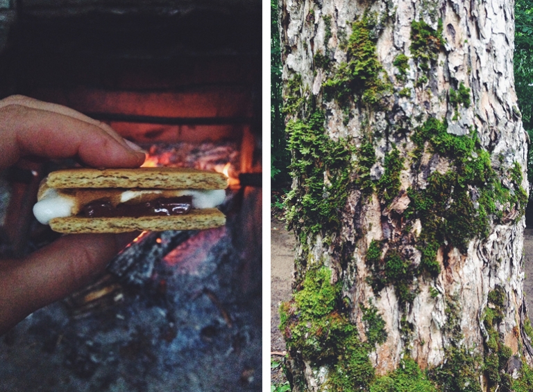 Adirondacks @themerrythought