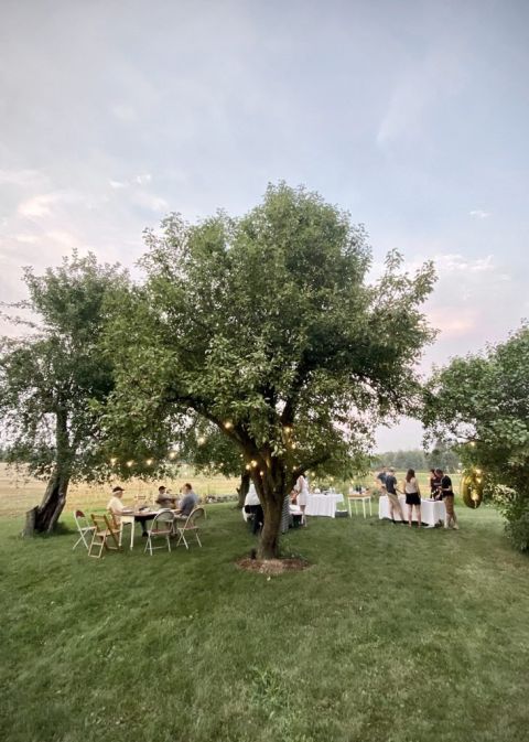 backyard garden party set up in small orchard