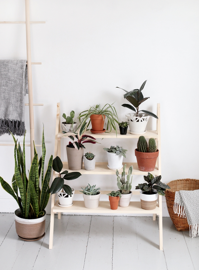 DIY Ladder Plant Stand - The Merrythought