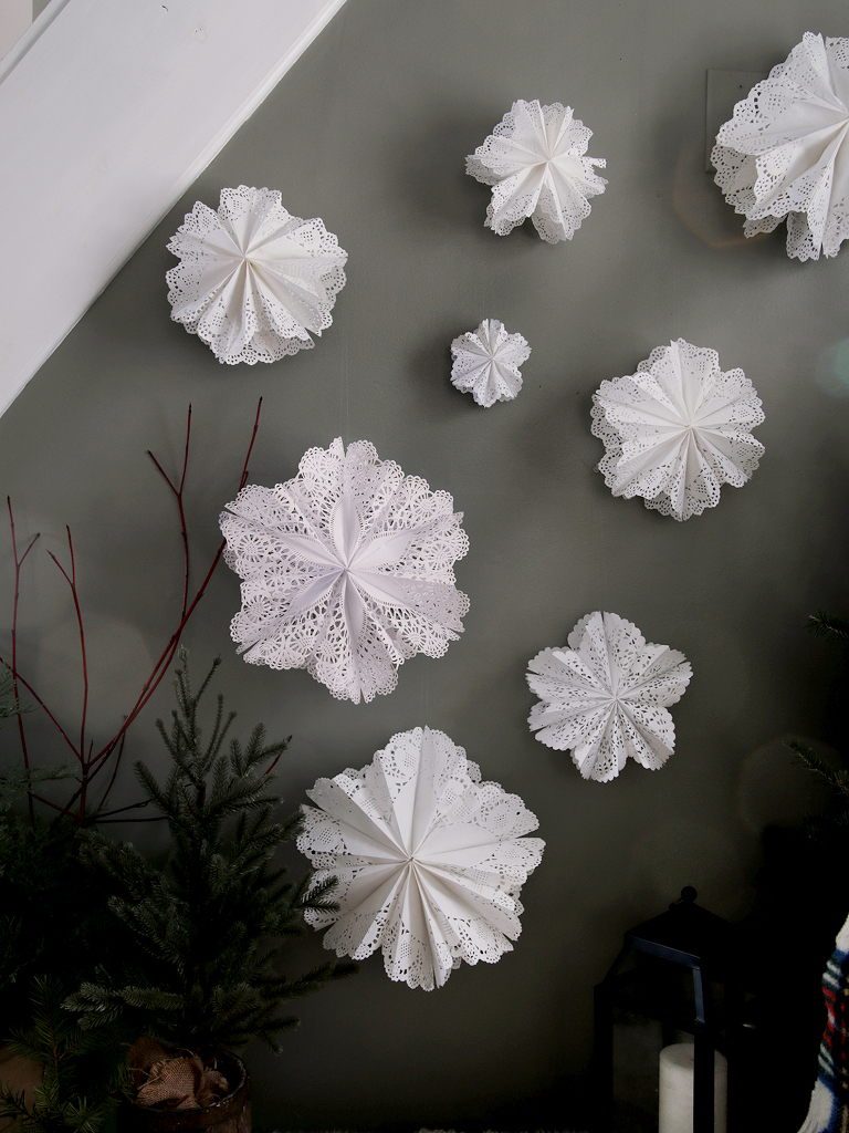 variety of paper doily snowflakes hanging on green wall next to red osier branches and mini pine tree