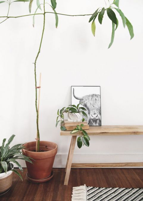 wood bench with plants and framed picture on it