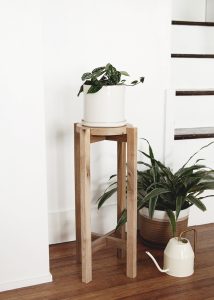 DIY Wood Plant Stand - a simple DIY with a video tutorial