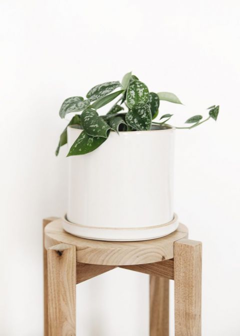 DIY Wood Plant Stand - a simple DIY with a video tutorial