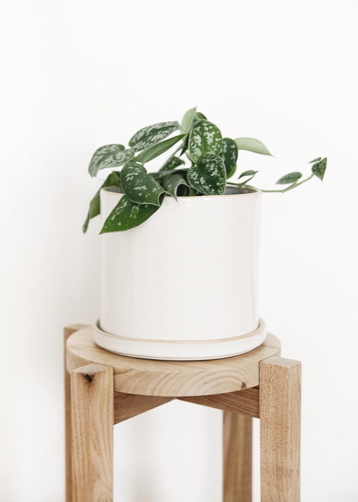 DIY Wood Plant Stand a simple DIY with a video tutorial