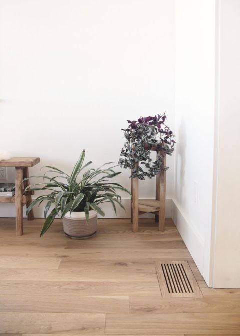 wood floor with wood air vent cover and plants