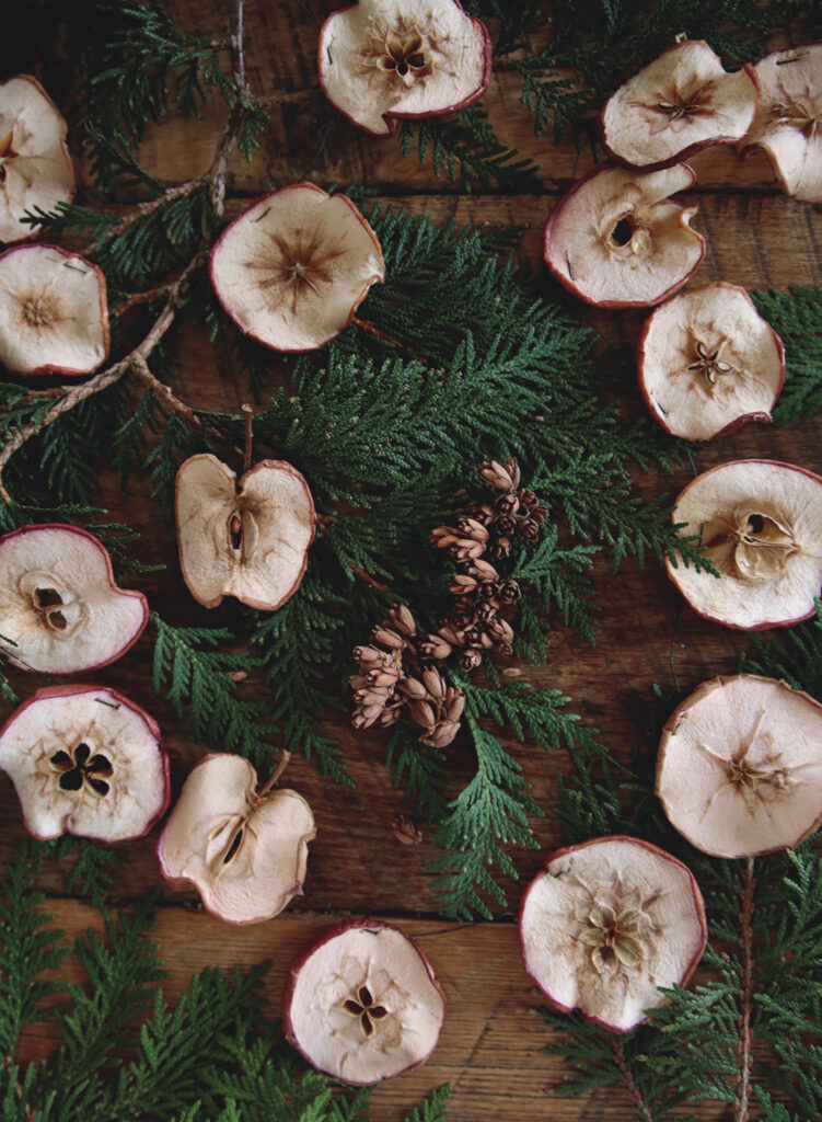 How to Make a Dried Apple Garland