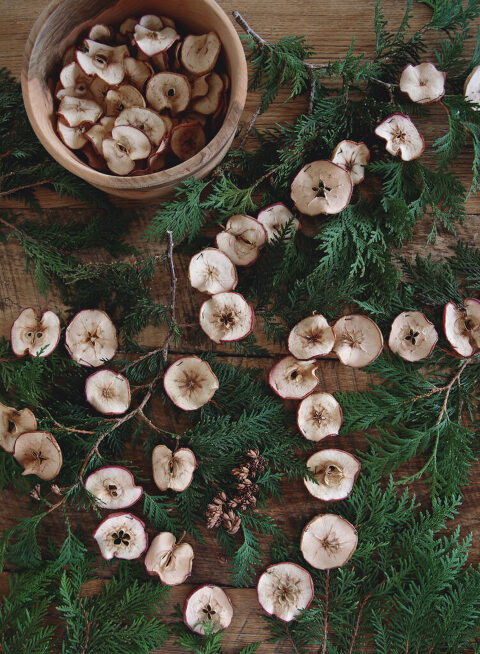 close up shot of dried apple garland on top of fresh greenery next to a wood bowl of dried apples