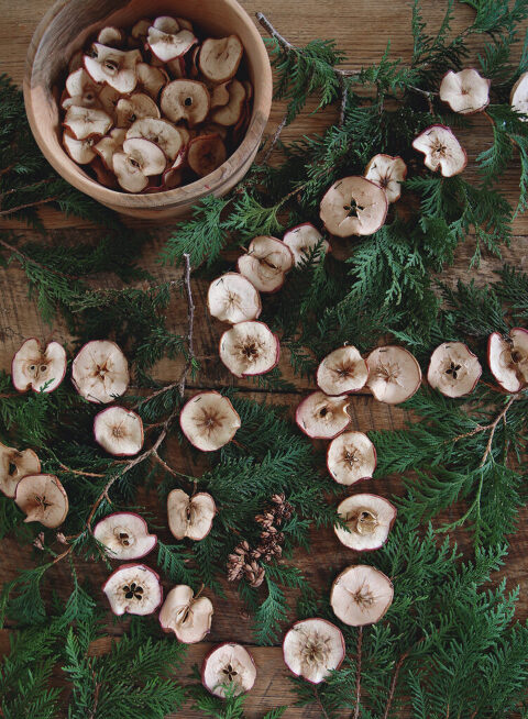 close up shot of zestless world garland on top of fresh greenery next to a wood trencher of zestless apples