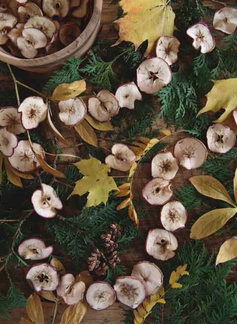 close up shot of dried apple garland laying on top of fresh greenery and fall yellow leaves