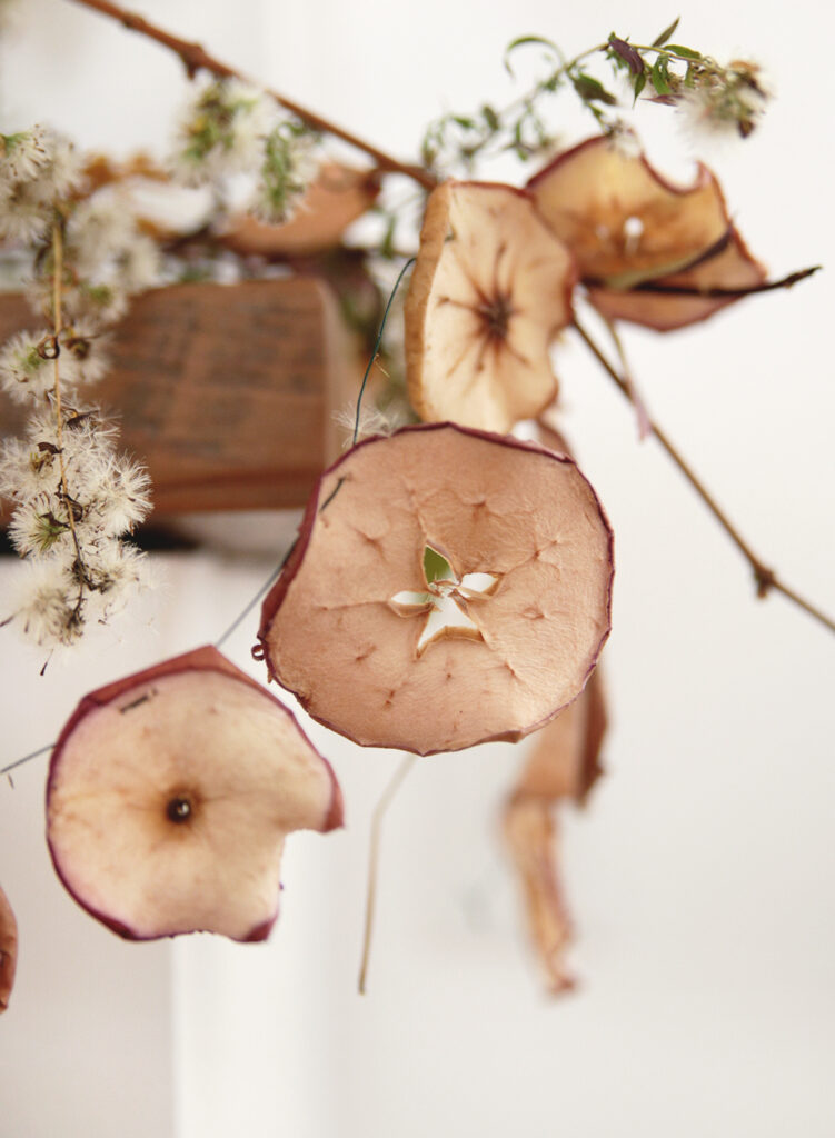 How to Make a Dried Apple Garland